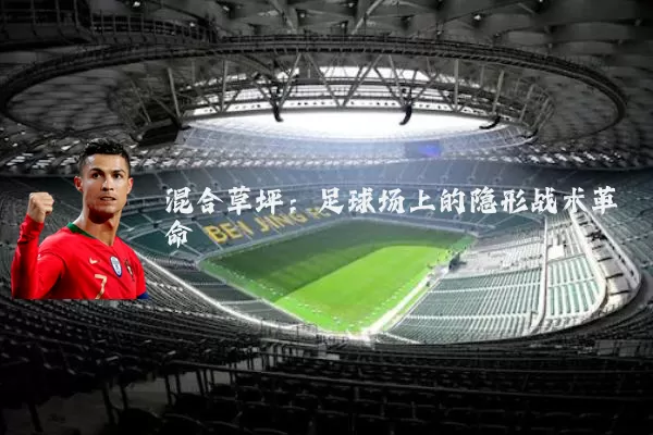 混合草坪:足球场上的隐形战术革命