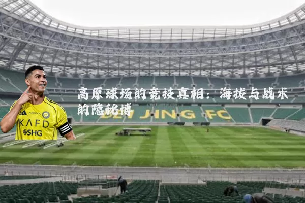 高原球场的竞技真相:海拔与战术的隐秘博弈