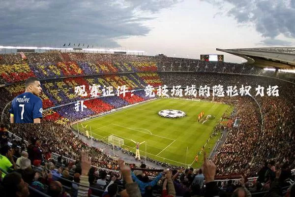 观赛证件：竞技场域的隐形权力拓扑